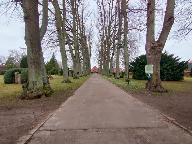 Ultrawide camera, auto mode