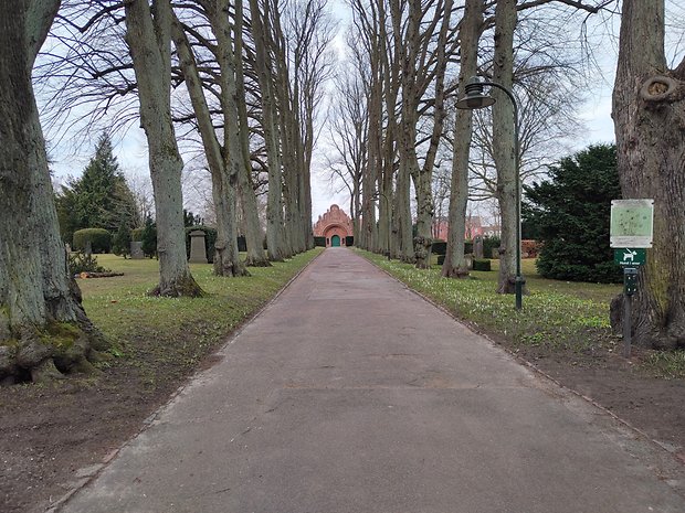 Main Camera, auto mode