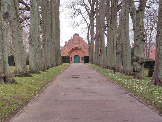 Main camera with 3X zoom