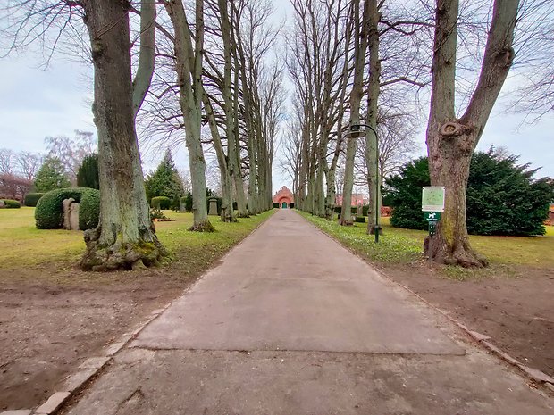 Ultrawide camera IA mode