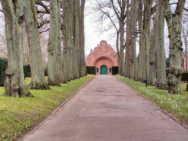 Main Camera IA mode, 3X zoom