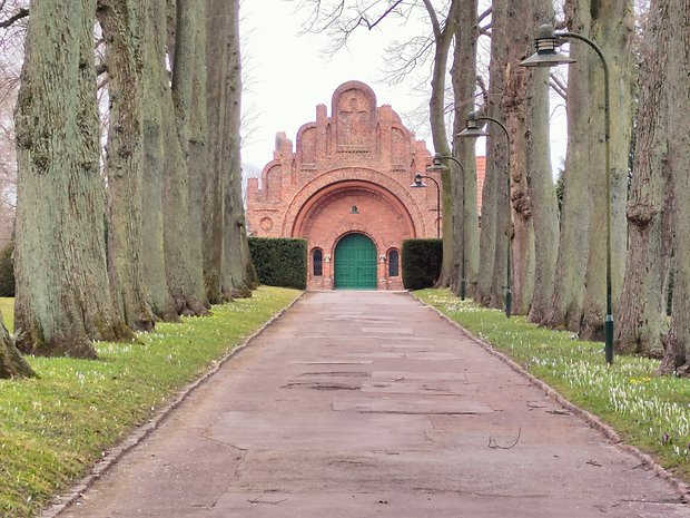 Main Camera IA mode, 5X zoom