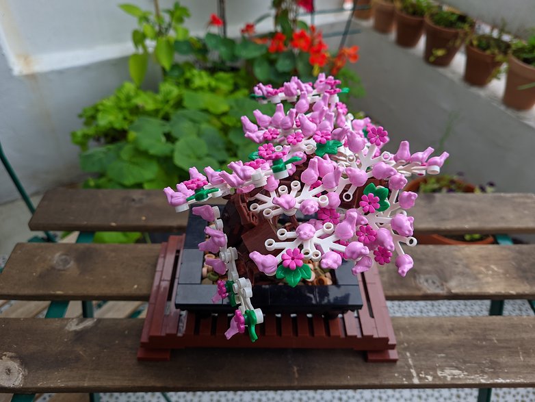Google Camera photo